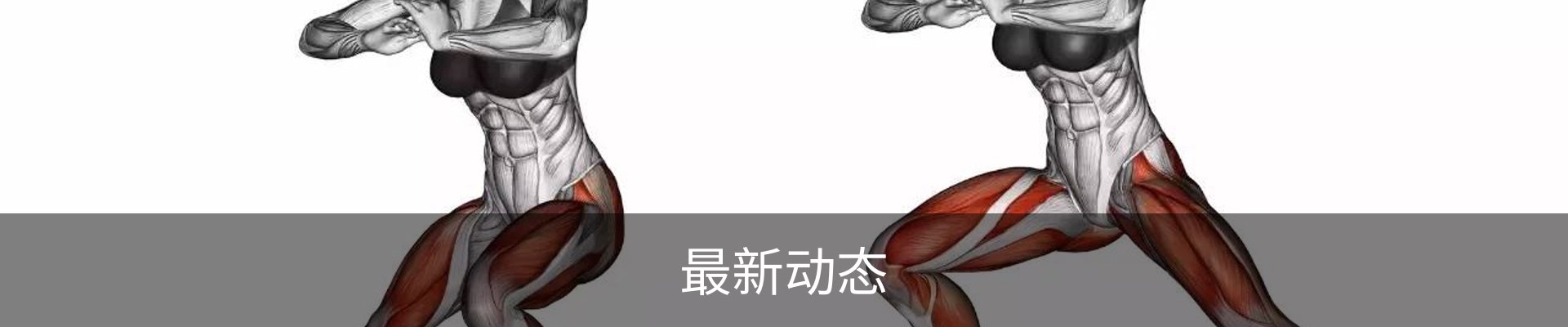 最新动态